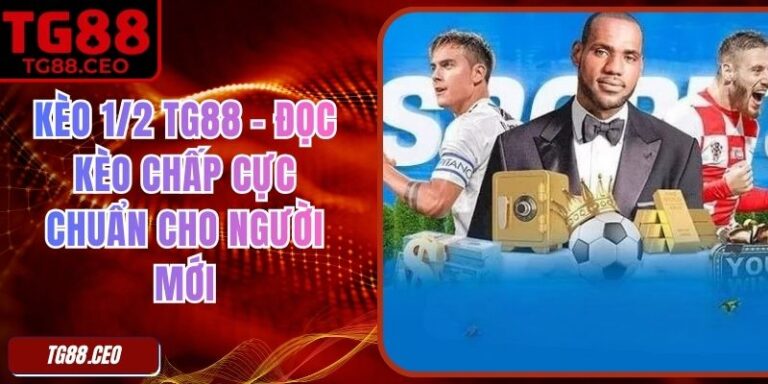 Kèo 1/2 TG88 – Đọc Kèo Chấp Cực Chuẩn Cho Người Mới 1 Kèo 1/2 TG88 – Đọc Kèo Chấp Cực Chuẩn Cho Người Mới