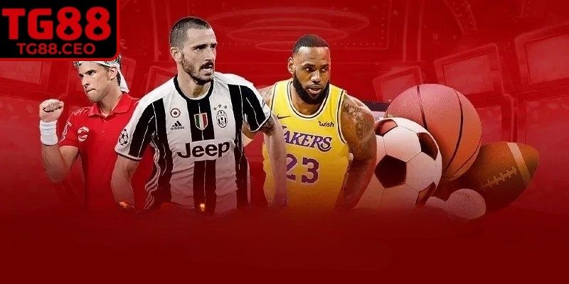 Kèo Châu Âu TG88 – Chi Tiết Cách Chơi Thắng Lớn Dễ Dàng 1 Vài dữ liệu về kèo châu Âu TG88