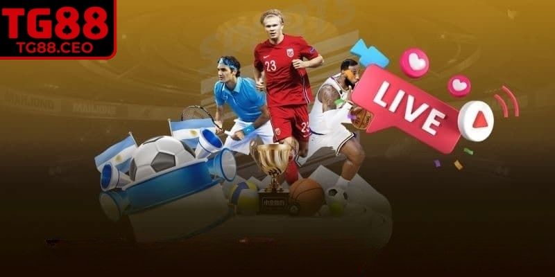 Cách đọc kèo châu Á ½ trái và ¾ trái.