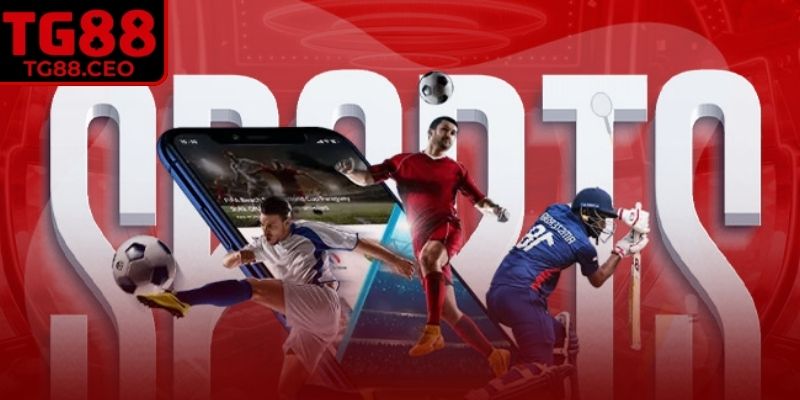 So sánh biến động odds khi đội hình được tiết lộ