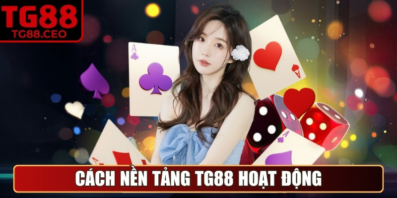 Cách nền tảng TG88 hoạt động