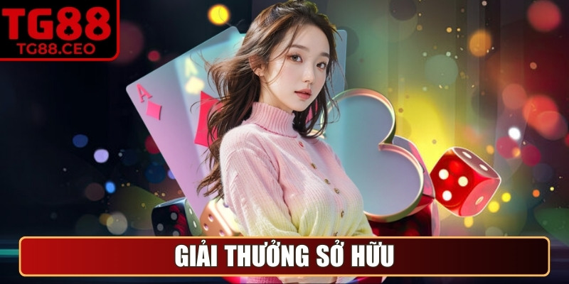 Giải thưởng sở hữu