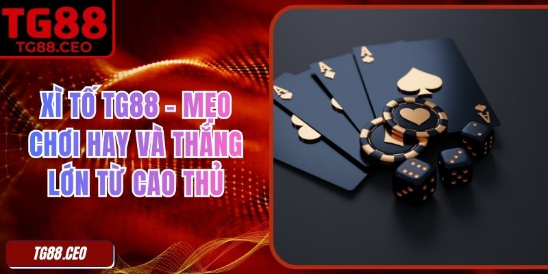 Xì Tố TG88 – Mẹo Chơi Hay Và Thắng Lớn Từ Cao Thủ