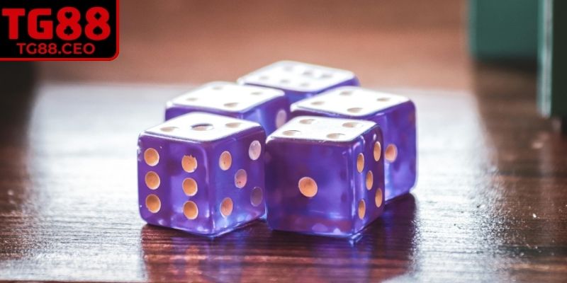 Xóc Đĩa TG88 – Bí Quyết Chơi Hay Và Thắng Lớn Dễ Dàng 3 Áp dụng chiến thuật đặt cược theo cầu thông minh