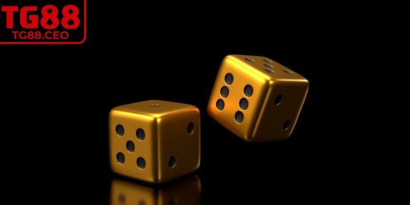 Xóc Đĩa TG88 – Bí Quyết Chơi Hay Và Thắng Lớn Dễ Dàng 1 Một số thông tin cơ bản về xóc đĩa TG88